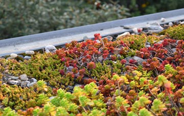 the cost of Honeywick green roof installation