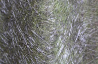 Honeywick fibreglass roof work